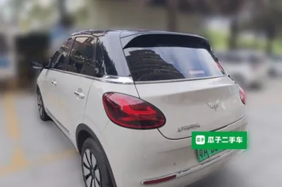 Wuling Bingo