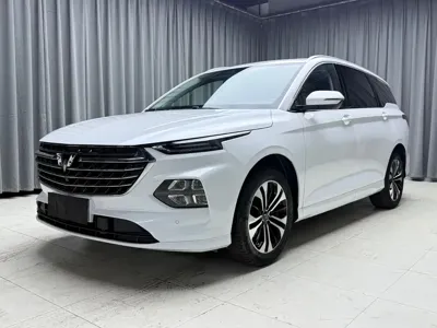 Wuling Victory