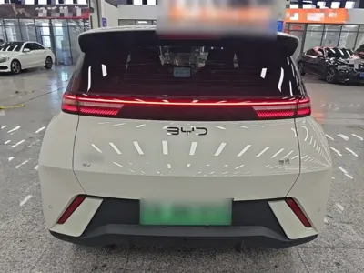 BYD Seagull