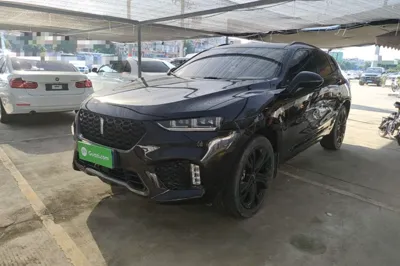 WEY VV7