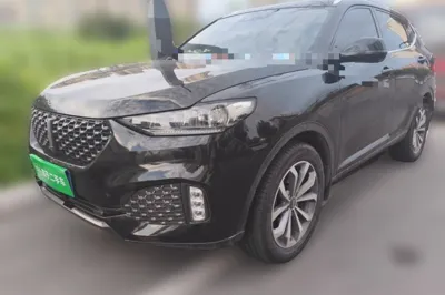 WEY VV6