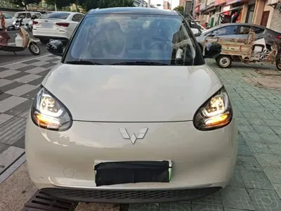 Wuling Bingo