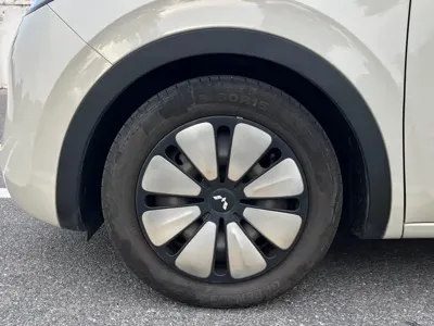 Wuling Bingo