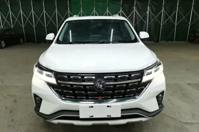 Forthing T5
