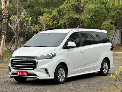 大通 G20