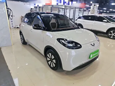 Wuling Bingo