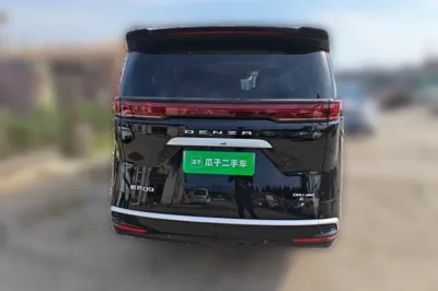 Denza D9