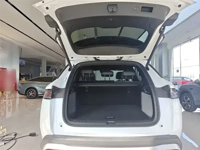 BYD L DM-i