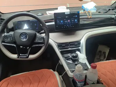 BYD Pro New Energy