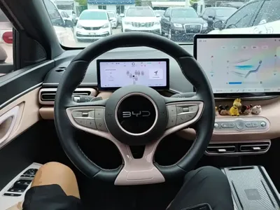 BYD Seagull