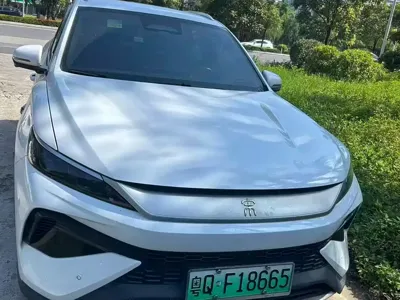 BYD Pro New Energy
