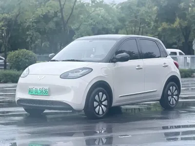 Wuling Bingo