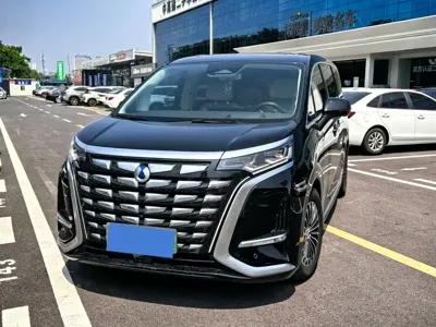 Denza Denza D9
