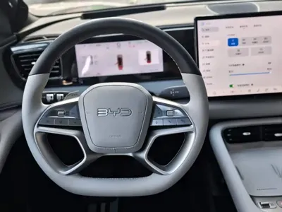 BYD 海狮06