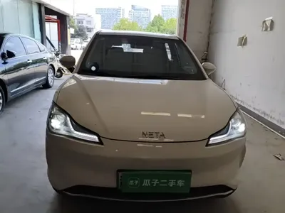 NETA Neta V