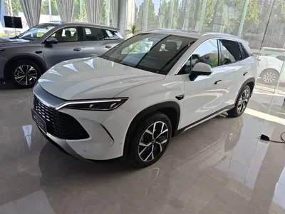 BYD L DM-i