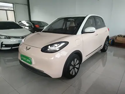 Wuling Bingo