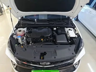 Geely Binrui
