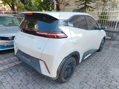 BYD Seagull