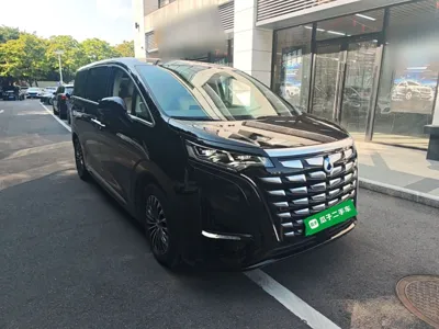 Denza D9