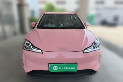 NETA V