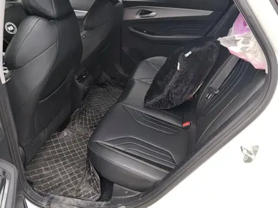 Geely Binrui