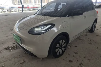 Wuling Bingo