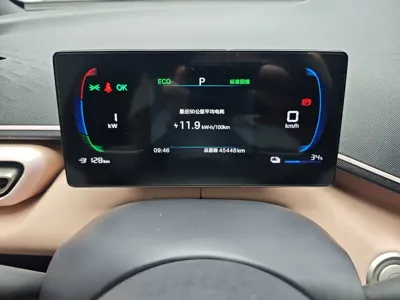 BYD Seagull