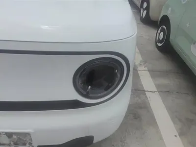 Galaxy Panda