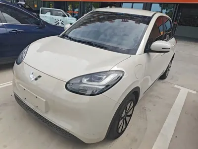 Wuling Bingo