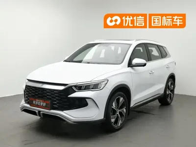 BYD Pro New Energy