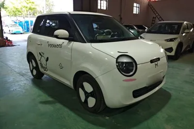 CHANGAN NEVO Lumin