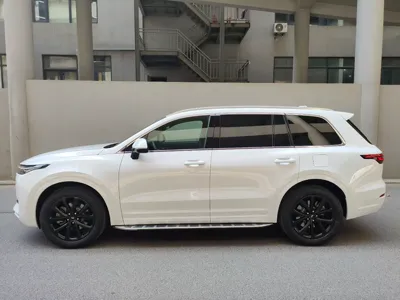Li Auto ONE