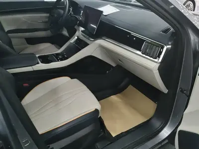 BYD PLUS New Energy