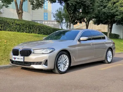BMW 5 Series New Energy