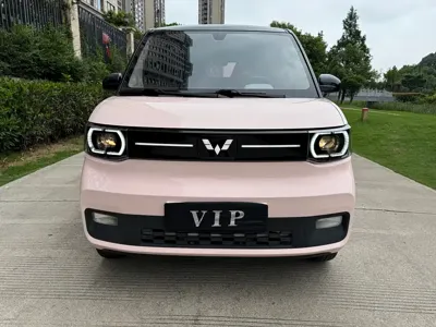Wuling MINIEV