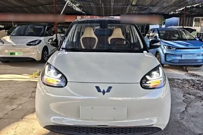 Wuling Bingo