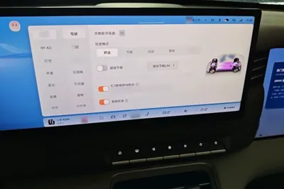 IM LS6