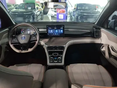 BYD Pro New Energy