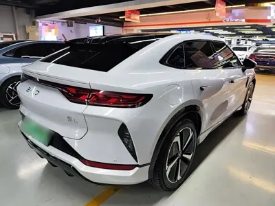 BYD L EV