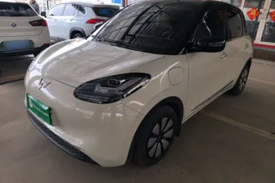 Wuling Bingo