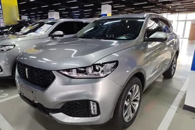 WEY VV6