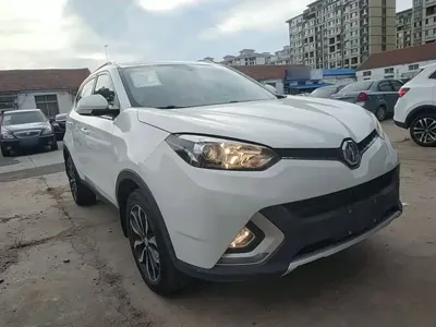 MG MG GS