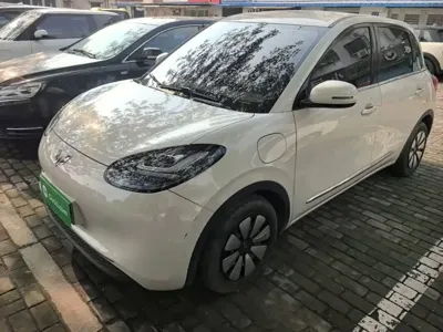 Wuling Bingo
