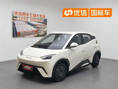 BYD Seagull