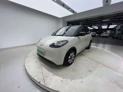 Wuling Bingo