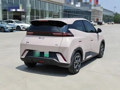 BYD Seagull