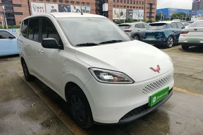 Wuling Hongguang New Energy