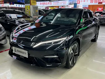 BYD L EV