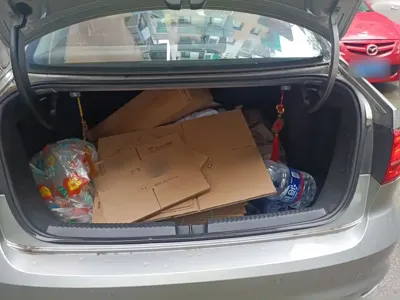 Volkswagen Sagitar